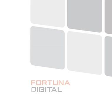Fortuna Digital Group postaja del skupine Antalis
