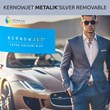 KERNOWJET MetaliK® PERMANENT SILVER