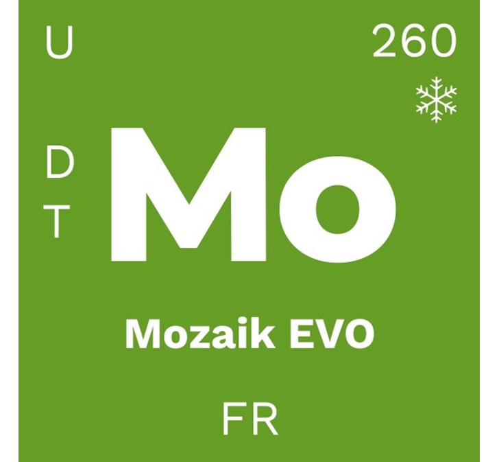 be.tex<sup>®</sup> Mozaik EVO